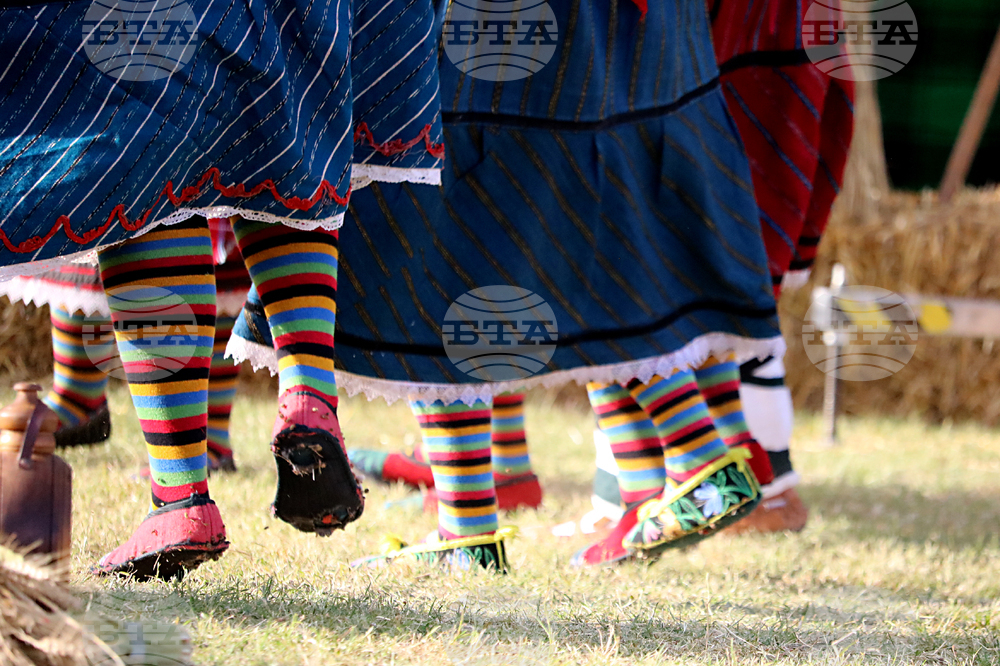Тервел - Фестивал на бялата жътва