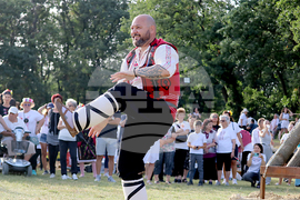 Тервел - Фестивал на бялата жътва