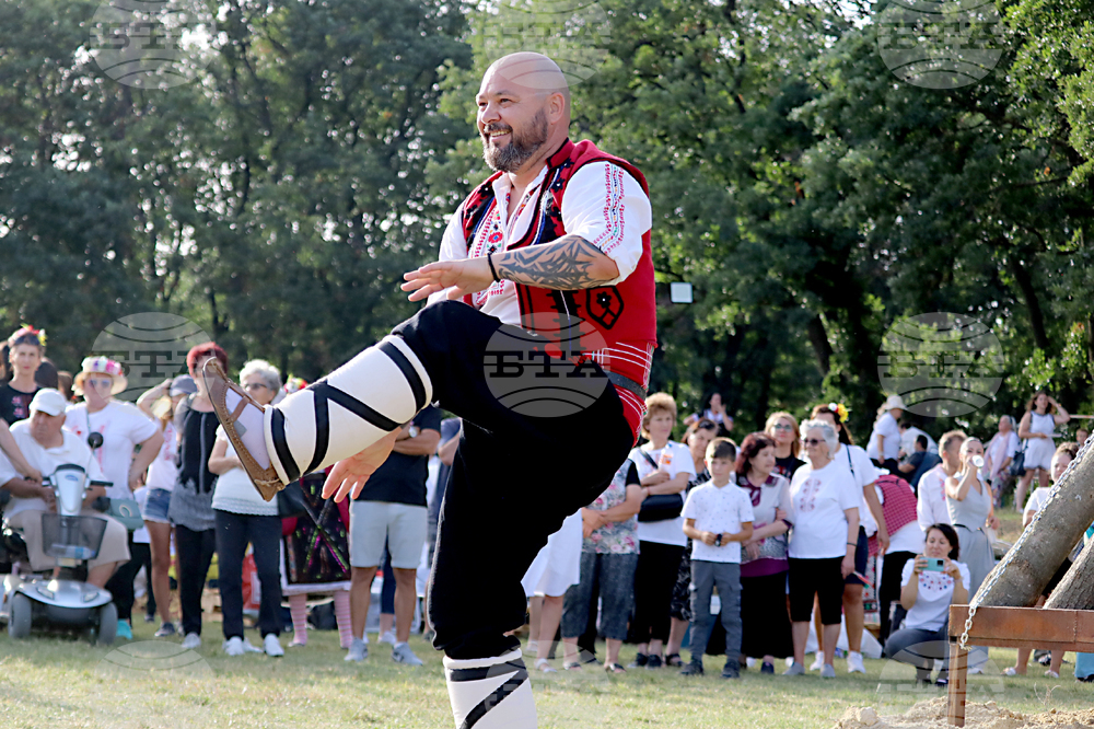 Тервел - Фестивал на бялата жътва