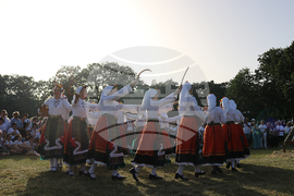 Тервел - Фестивал на бялата жътва