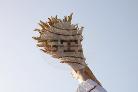 Тервел - Фестивал на бялата жътва