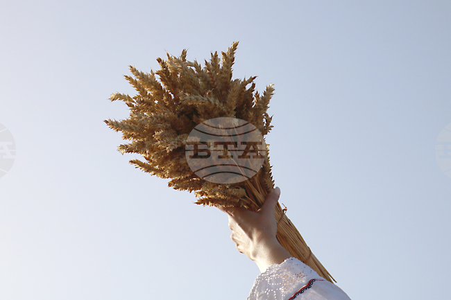 Тервел - Фестивал на бялата жътва