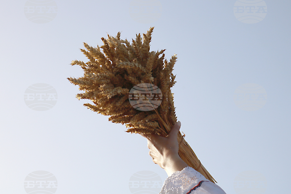 Тервел - Фестивал на бялата жътва