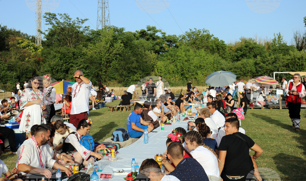 Тервел - Фестивал на бялата жътва