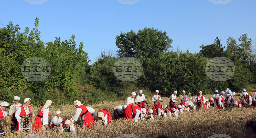 Тервел - Фестивал на бялата жътва