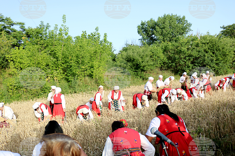 Тервел - Фестивал на бялата жътва