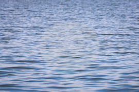 Бургас - Мандренско езеро - отменено състезание по риболов