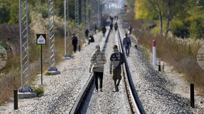 През ноември в Австрия е отчетен само един случай на събиране на бежанско семейство