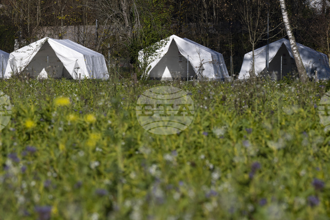 Австрия удължава с шест месеца прекратеното събиране на мигрантски семейства