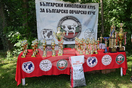 Монтана - кучета - изложба