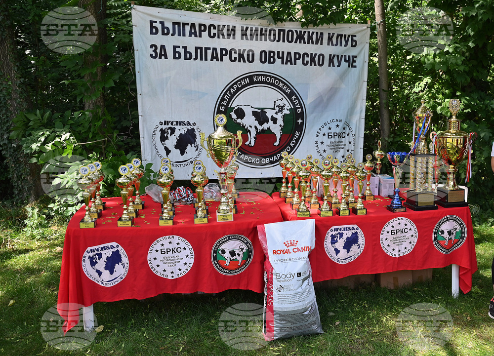 Монтана - кучета - изложба