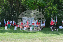 Монтана - кучета - изложба