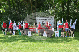 Монтана - кучета - изложба