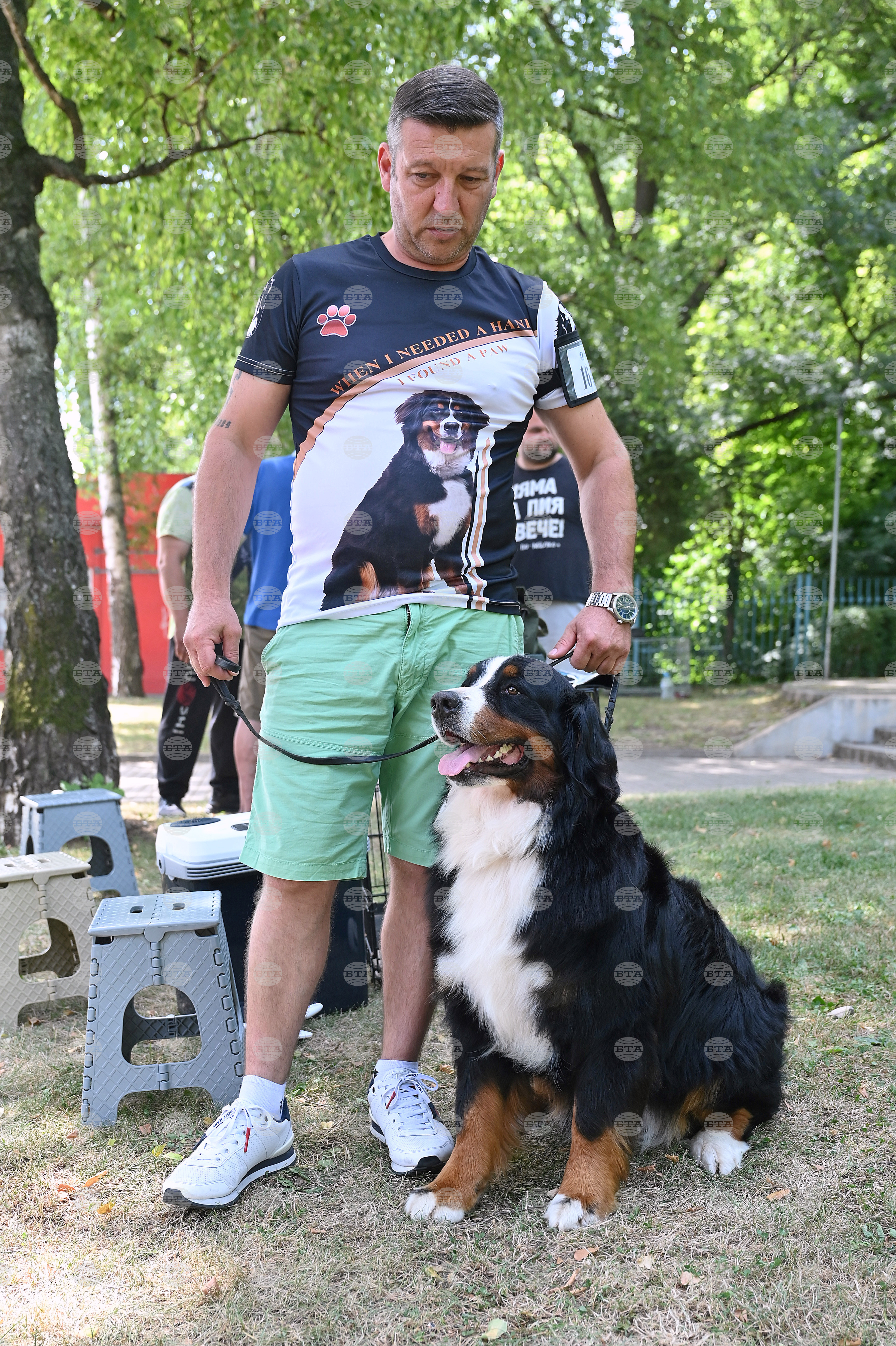 Монтана - кучета - изложба