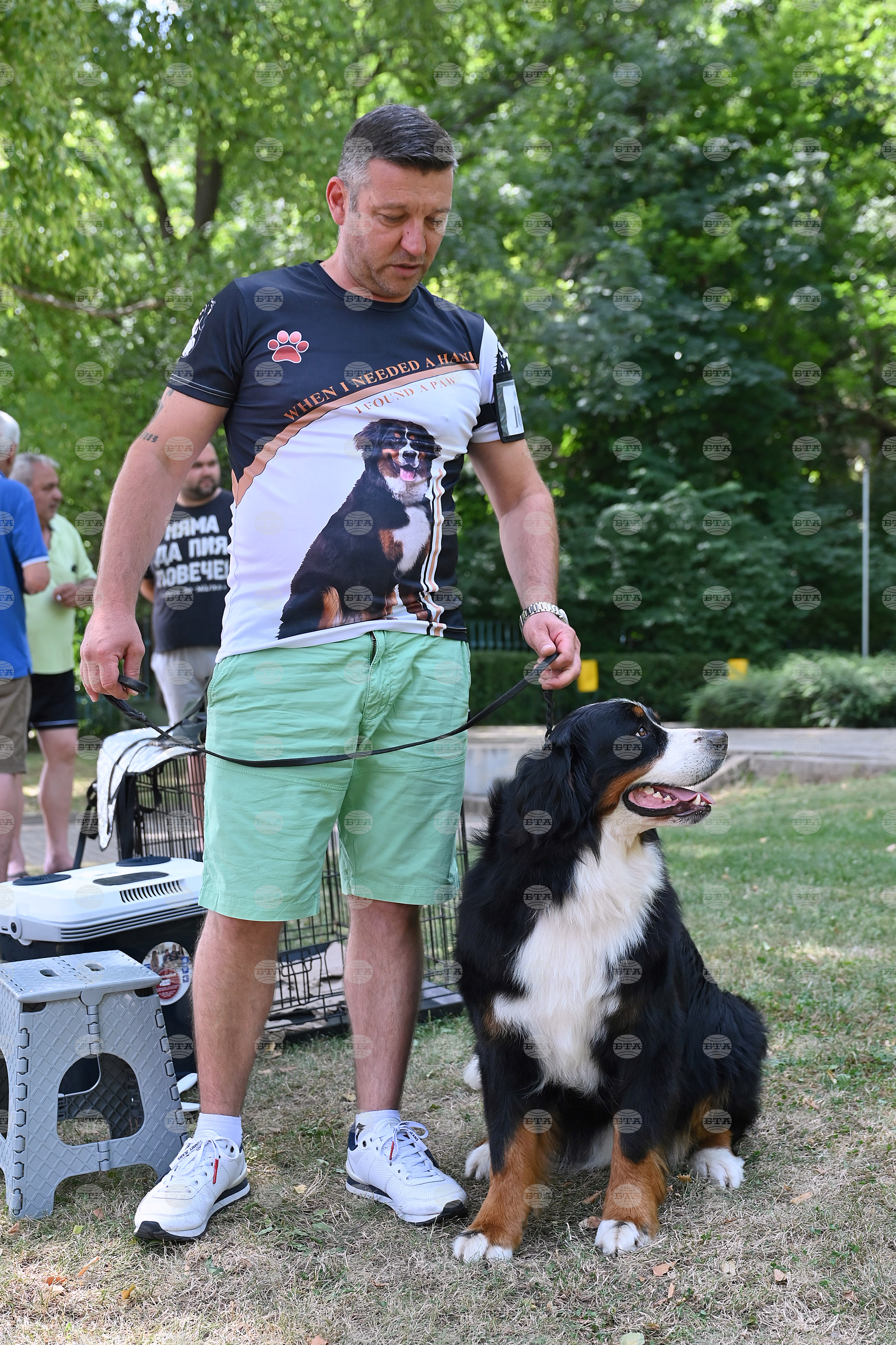 Монтана - кучета - изложба