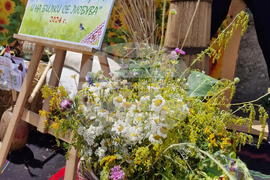 Село Доспей - фолклорен фестивал „Доспей пее и танцува, и на билки се любува“