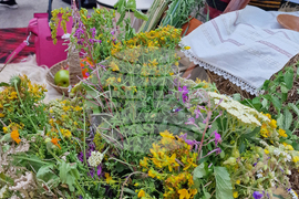 Село Доспей - фолклорен фестивал „Доспей пее и танцува, и на билки се любува“