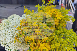 Село Доспей - фолклорен фестивал „Доспей пее и танцува, и на билки се любува“