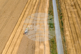 Бургас - жътва