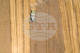 Бургас - жътва