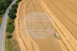 Бургас - жътва