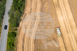 Бургас - жътва