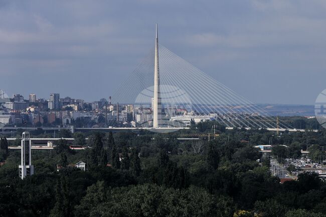 Певец от Северна Македония е бил отвлечен в Сърбия, но е бил спасен от полицията