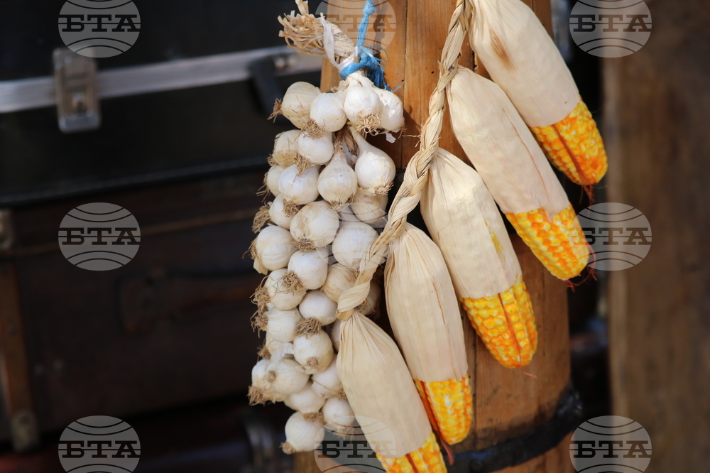 Село Красен - фолклорен събор „Край язовир Дрян“