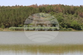 Село Красен - фолклорен събор „Край язовир Дрян“