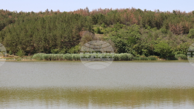 Язовир "Дрян" да бъде отдаден под наем за десет години чрез конкурс, решиха общинските съветници в Генерал Тошево