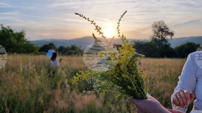 EC Approves Strandzha Herbal Tea as Protected Designation of Origin