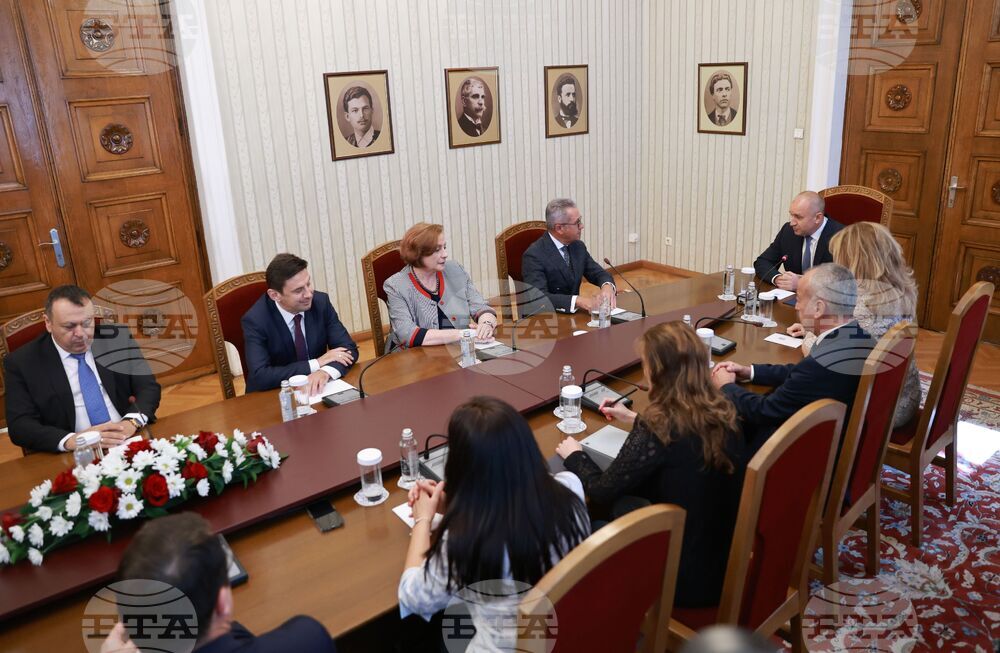 Президент - ДПС - консултации