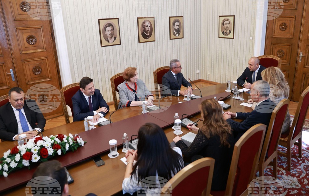 Президент - ДПС - консултации