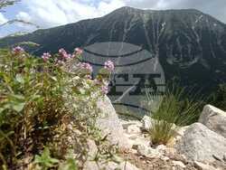 Снимка: Община Банско