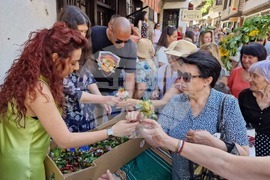 Велико Търново - Еньовден на Самоводската чаршия