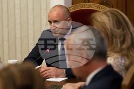 Президент - ПП-ДБ - консултации