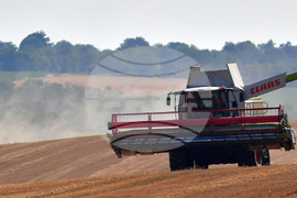 Исперих - жътва