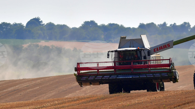 Cabinet Approves Draft Agreement on Agricultural Science and Technology Cooperation between Bulgaria, Uzbekistan