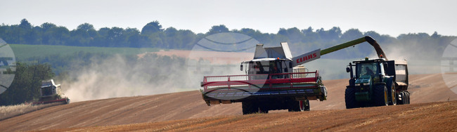 Cabinet Approves Draft Agreement on Agricultural Science and Technology Cooperation between Bulgaria, Uzbekistan