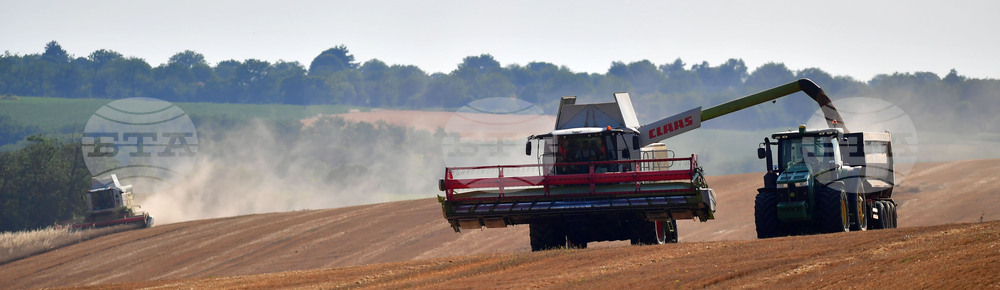 Исперих - жътва