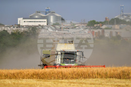 Исперих - жътва