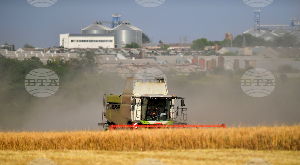 Исперих - жътва