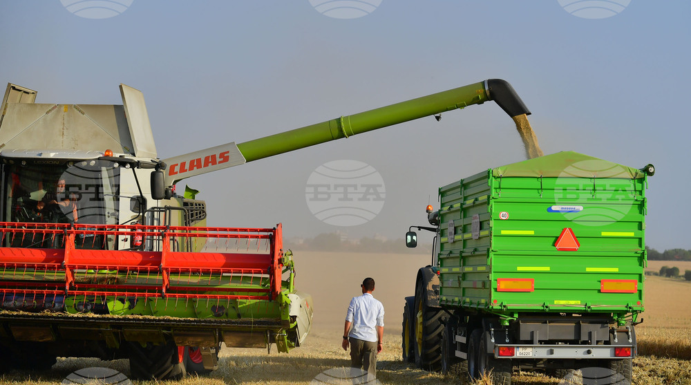 Исперих - жътва