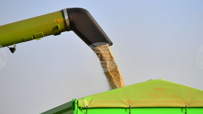 Конфликтът в Близкия изток движи цените на зърнените култури по световните борси нагоре, сочи седмичният отчет на ССБ