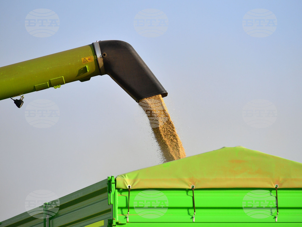 Забавяне на търговията със селскостопански храни в ЕС отчита ЕК през август след пиковите резултати за юли