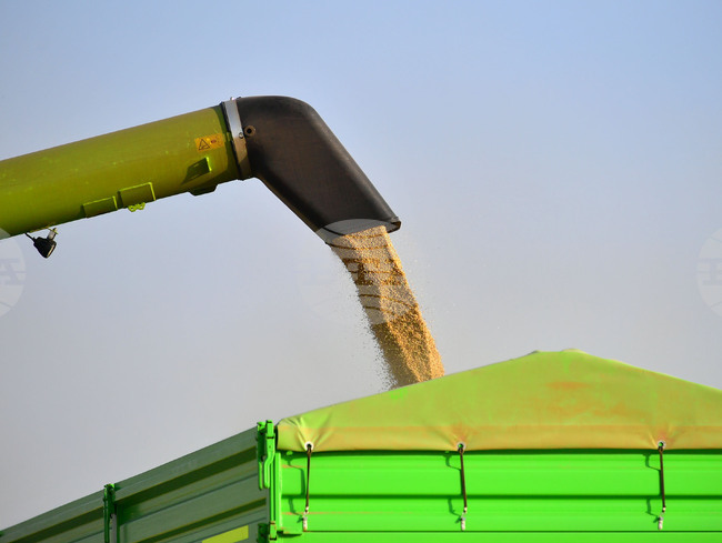 Конфликтът в Близкия изток движи цените на зърнените култури по световните борси нагоре, сочи седмичният отчет на ССБ