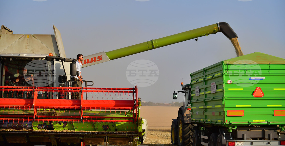 Исперих - жътва