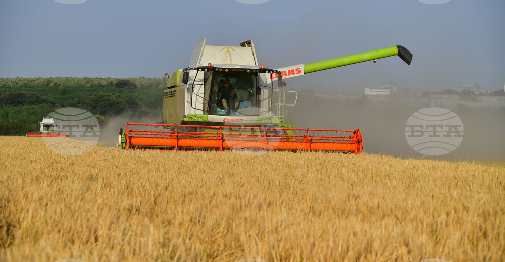 Исперих - жътва