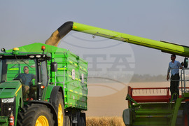 Исперих - жътва