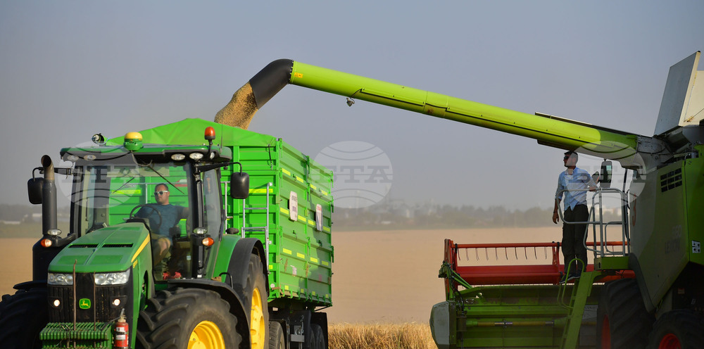 Исперих - жътва